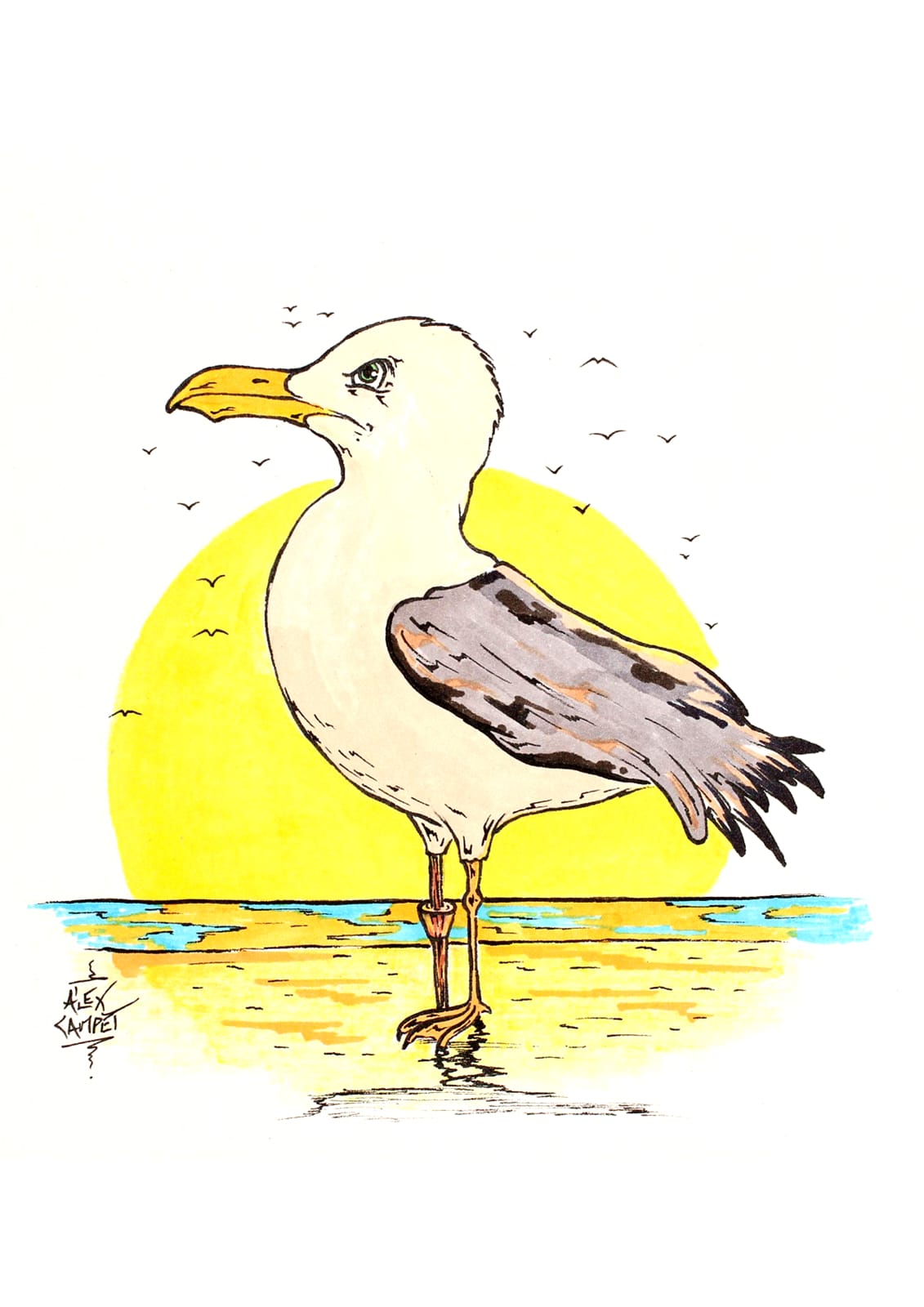 Mouette